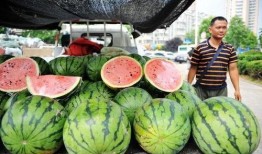 吃瓜被卖,揭秘网络时代的“瓜商”传奇