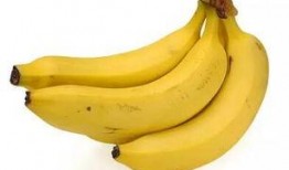 给四个月的宝宝吃哈密瓜,哈密瓜营养美味新尝试