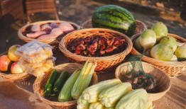 三瓜公社吃瓜视频,揭秘吃瓜视频背后的趣味与魅力