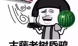 吃瓜群众怎么读