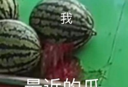 木木墩在线吃瓜,揭秘娱乐圈幕后风云