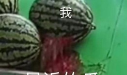 木木墩在线吃瓜,揭秘娱乐圈幕后风云