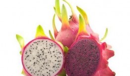 果儿吃瓜群,揭秘网络社交圈的趣味与争议