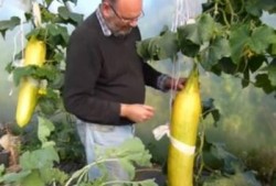 吃瓜吐刺,揭秘娱乐圈背后的真相与争议