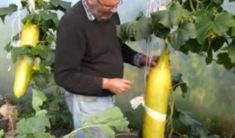 吃瓜吐刺,揭秘娱乐圈背后的真相与争议