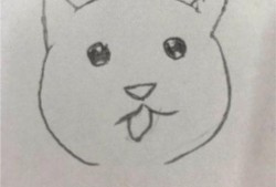 小猫吃瓜的画法,一笔一划绘出清新趣味