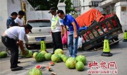 朝阳热心市民吃瓜,揭秘社区生活点滴