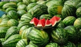 吃瓜对什么,一场全民参与的娱乐盛宴