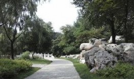 莱芜公园吃瓜事件,一场引发热议的公共道德风波