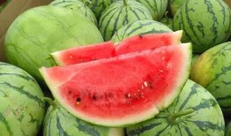 文化公园吃瓜视频,揭秘网红美食背后的故事