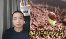 电梯吃瓜大哥,吃瓜大哥的神秘故事