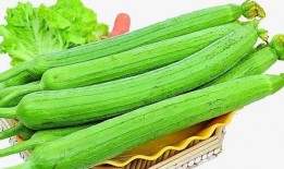 吃瓜仔每天吃多少,揭秘瓜界食量之谜