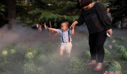 rainie田撒谎吃瓜,揭秘娱乐圈吃瓜背后的真相