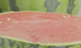 近期吃瓜大合集