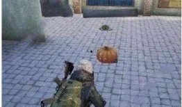 和平精英吃瓜技巧,轻松掌握游戏内热门事件解析技巧