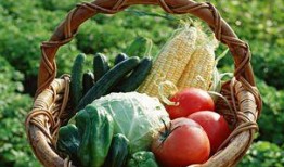 来月经量多可以吃刺瓜吗,刺瓜能否成为你的健康小助手？