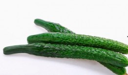 吃瓜的原因分类,揭秘不同吃瓜动机背后的故事