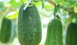 谦道吃瓜,揭秘娱乐圈背后的那些事儿