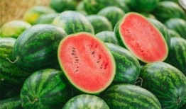 小陆在线吃瓜,揭秘娱乐圈幕后故事