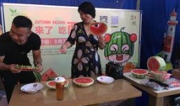 心声吃瓜结局,揭秘吃瓜群众的终极结局