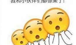 宝宝吃网纹瓜表情,萌态表情萌化人心