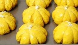 零基础吃瓜,轻松入门，畅享娱乐盛宴