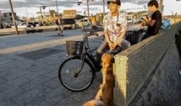 碣石吃瓜事件,一场引发社会热议的网络风波