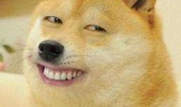 关于吃瓜的黑话