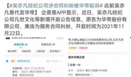 评论区吃瓜被起诉,网络评论引发的法律风波