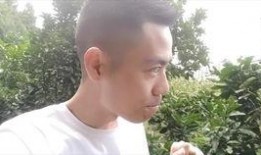 rainie田撒谎吃瓜,揭秘娱乐圈吃瓜背后的真相