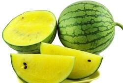 梦见吃熟透的鲜瓜,揭秘吃熟透鲜瓜的神秘寓意