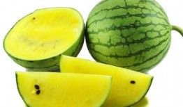 梦见吃熟透的鲜瓜,揭秘吃熟透鲜瓜的神秘寓意