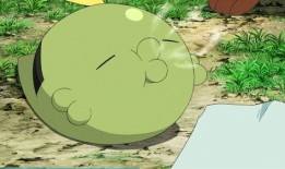 吃瓜的神奇宝贝,吃瓜界的守护神传奇