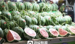 万惠吃瓜,揭秘娱乐圈幕后故事