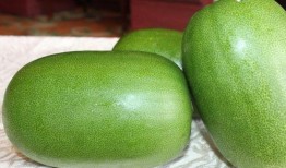 吃瓜qq男,揭秘网络社交背后的真实故事