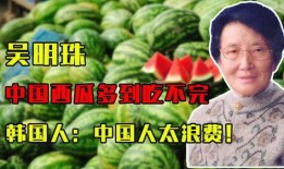 在线吃瓜南韩,在线吃瓜，一网打尽韩流热点