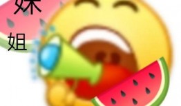 西城女孩吃瓜,揭秘网络热议背后的真相