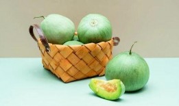 石美吃瓜,揭秘娱乐圈幕后故事