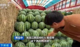 爱琴海吃瓜比赛