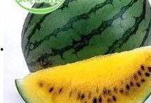 速度吃瓜,揭秘瓜界新潮流