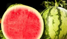 山东医专吃瓜,校园风云背后的真相揭秘