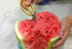 剪刀吃瓜,揭秘剪刀吃瓜的独特魅力