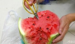 剪刀吃瓜,揭秘剪刀吃瓜的独特魅力