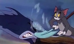 猫鼠吃瓜视频大全,盘点热门猫鼠吃瓜视频大全