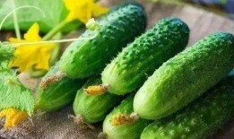 白胖吃瓜,揭秘娱乐圈的甜蜜瓜田