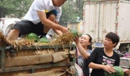 老三吃瓜甜,揭秘娱乐圈甜蜜背后的故事