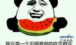 酸瓜梗怎么吃,家常美味制作指南