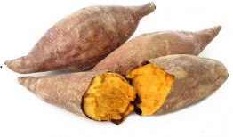 舍利瓜怎么吃,舍利瓜的多彩食法