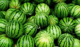 有什么瓜吃呢,盘点那些让人津津乐道的八卦新闻