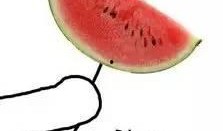 吃瓜落的图片,揭秘瓜农的甜蜜生活与丰收喜悦